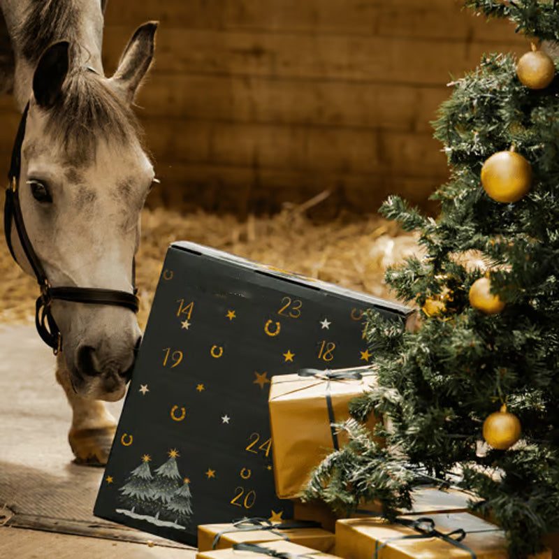 🐎Pferdebedarf Adventskalender 2024