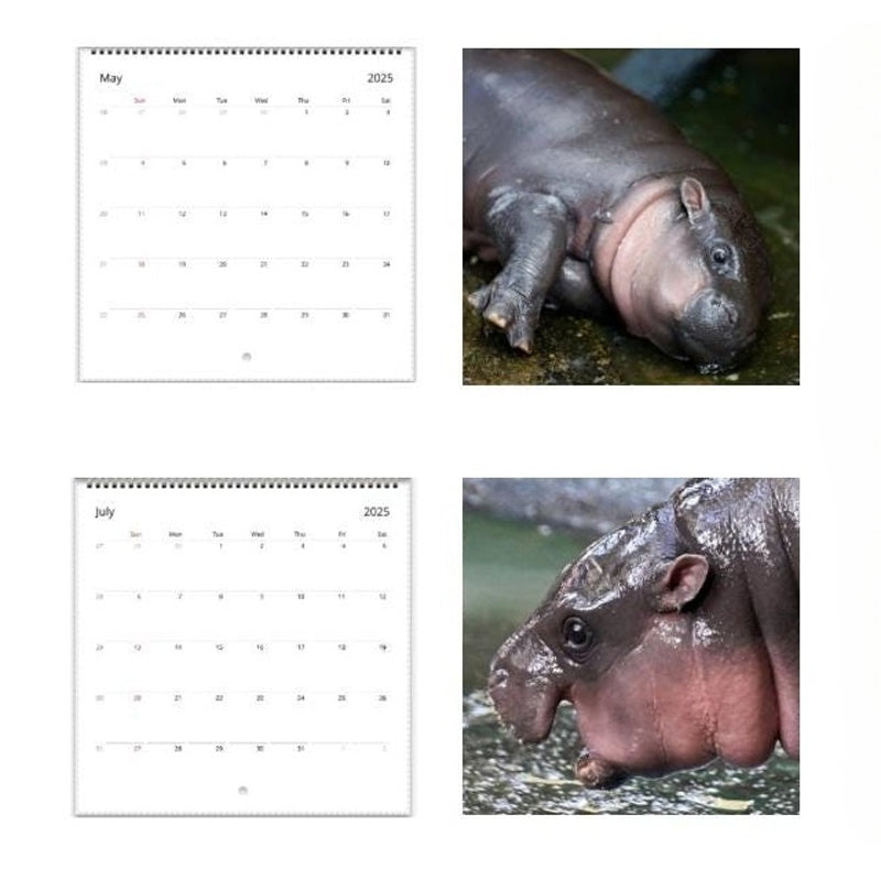 Moo Deng Kalender | Kalender 2025