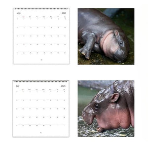 Moo Deng Kalender | Kalender 2025