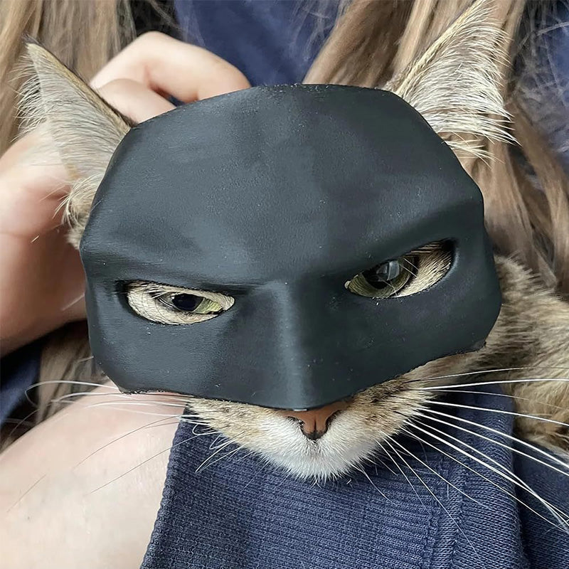 Fledermaus-Katzen-Avenger-Maske