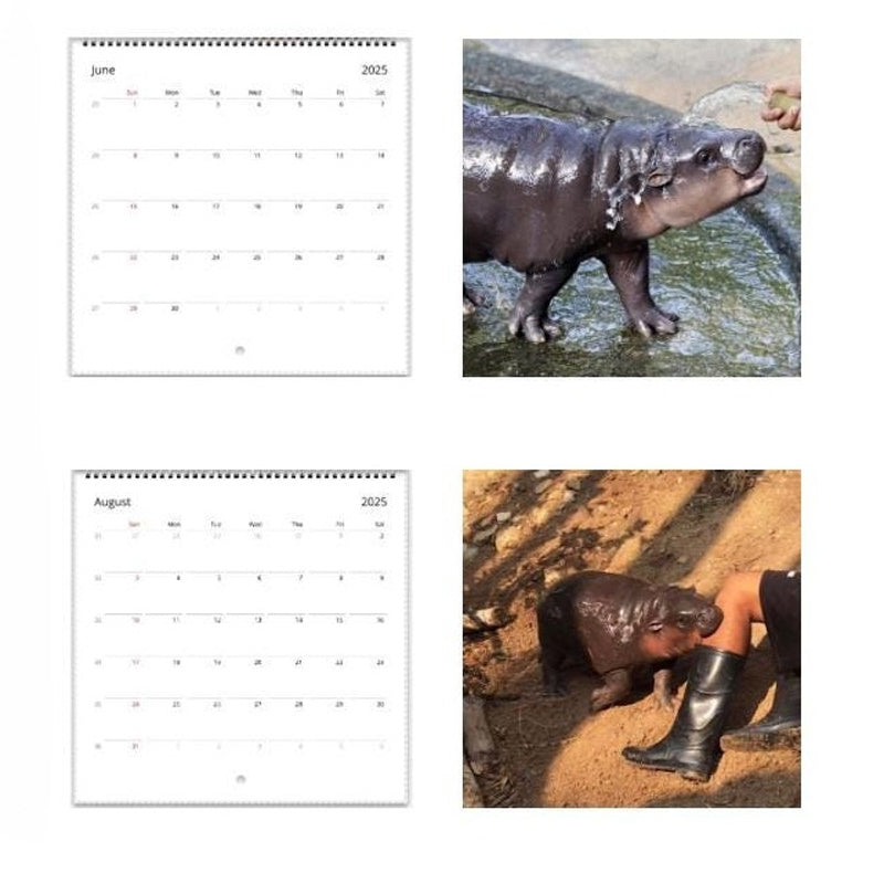 Moo Deng Kalender | Kalender 2025