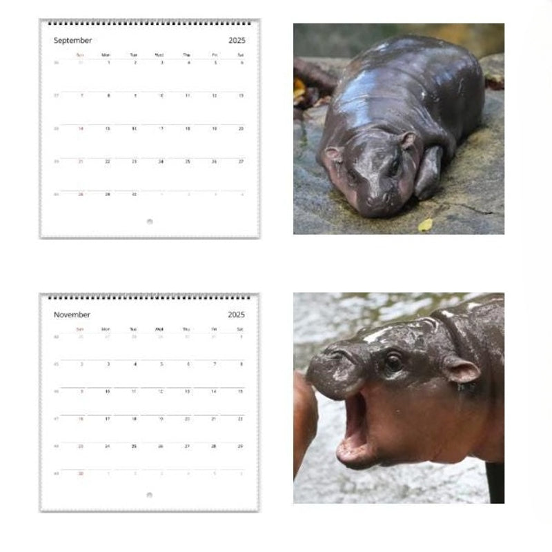 Moo Deng Kalender | Kalender 2025