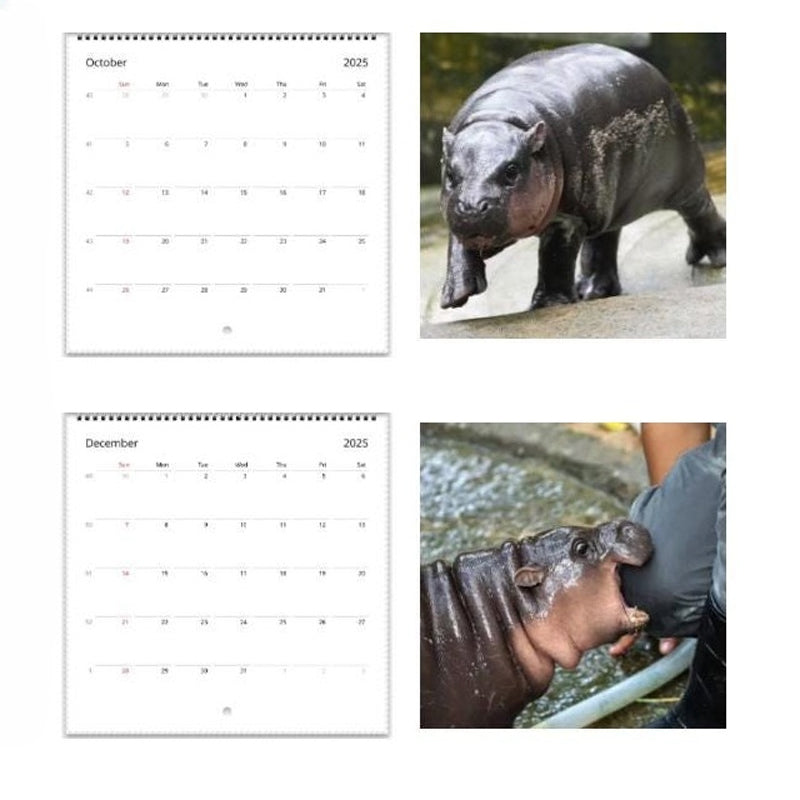 Moo Deng Kalender | Kalender 2025