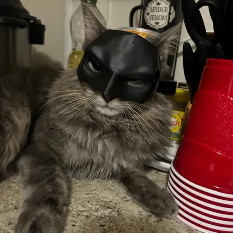 Fledermaus-Katzen-Avenger-Maske