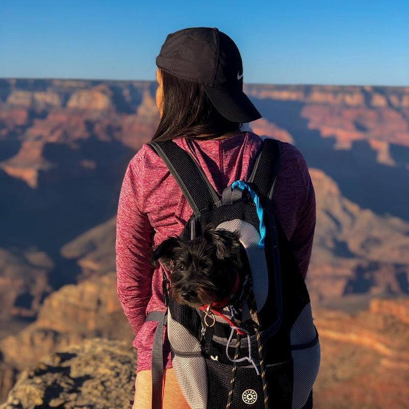 Rucksack für Hunde / Katzen