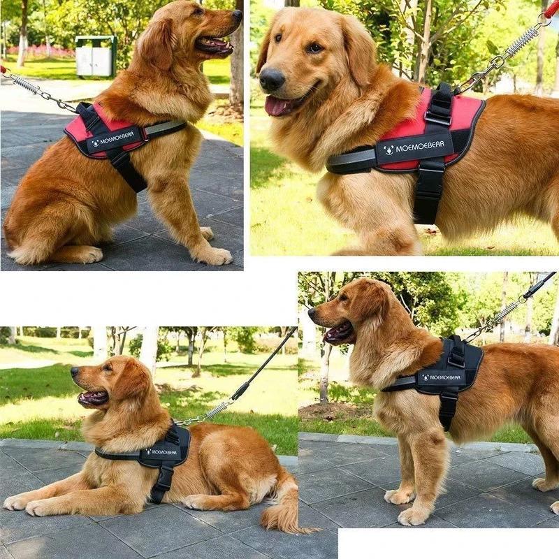 Reflektierende all-in-one No Pull-Hundegeschirr