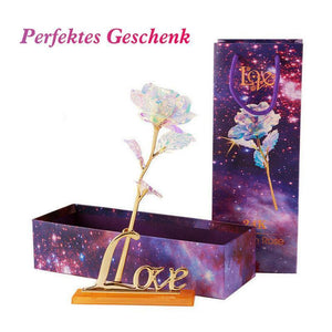 Bunte Galaxy Rose