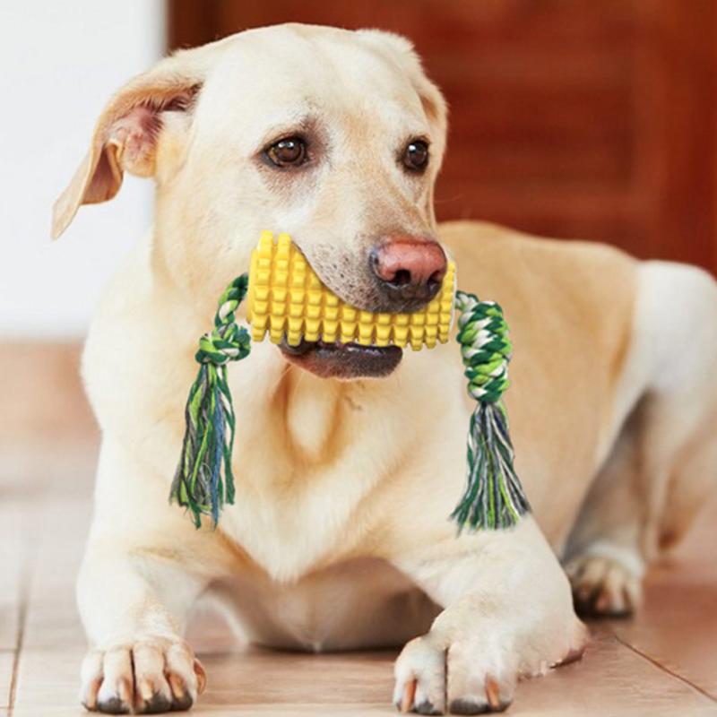 Interessante Beißstock Hundespielzeuge