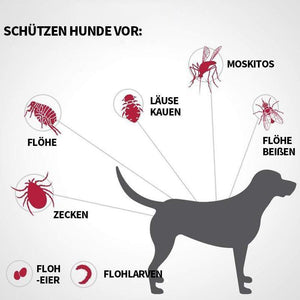 Haustier Anti Floh & Zecken Badesalz Kugel