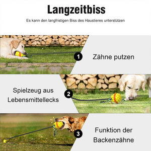 Pet Seilball Outdoor-Trainingsspielzeug