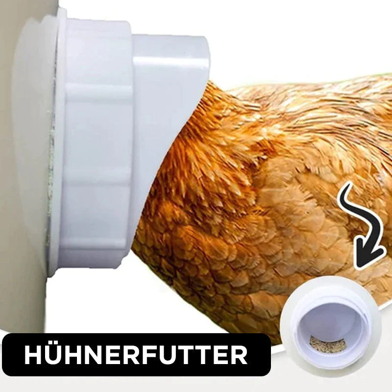 DIY Hühnerfutter