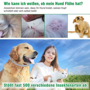 Floh- & Zeckenhalsband für Hunde