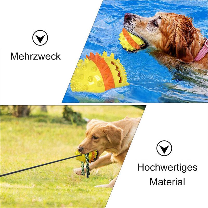 Pet Seilball Outdoor-Trainingsspielzeug