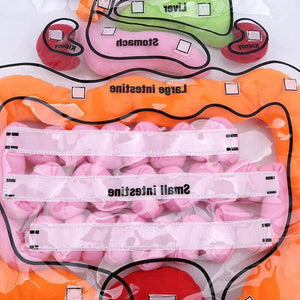 Organ Schürze Früherziehung Tools Lustiges Spielzeug für Kinder