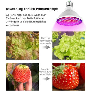 Zimmerpflanzen LED Pflanzenlampe mit Klammer