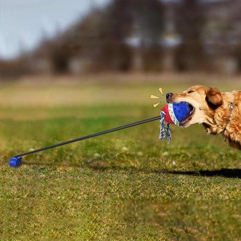 Pet Seilball Outdoor-Trainingsspielzeug