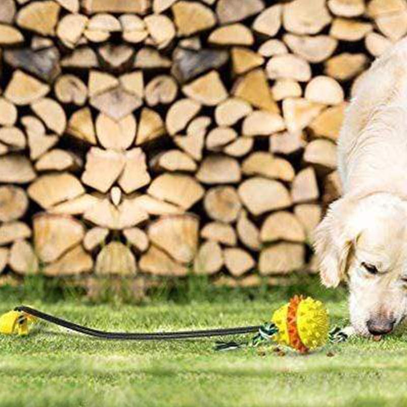 Pet Seilball Outdoor-Trainingsspielzeug