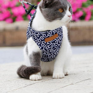 Geschirr und Leine der Katzenweste zum Gehen im Freien