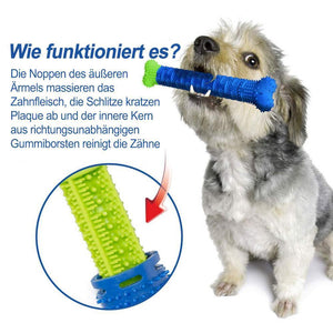 Hundespielzeug für Zähne