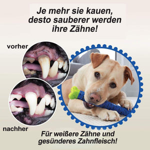 Hundespielzeug für Zähne